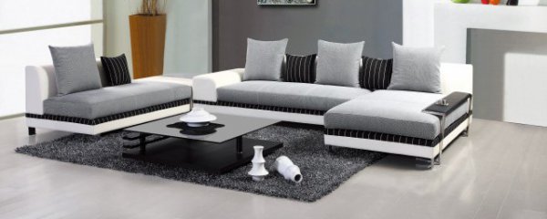 澳洲龙杉摆放在客厅好不好