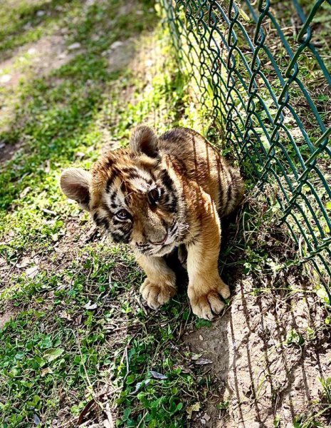 哈尔滨玩的地方哪里比较值得去