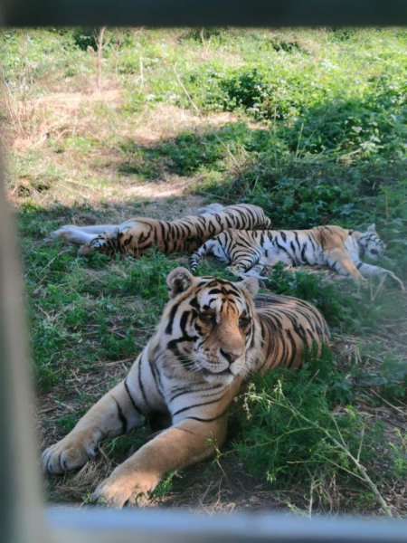 哈尔滨玩的地方哪里比较值得去