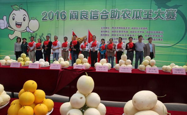 最差的985是哪个大学