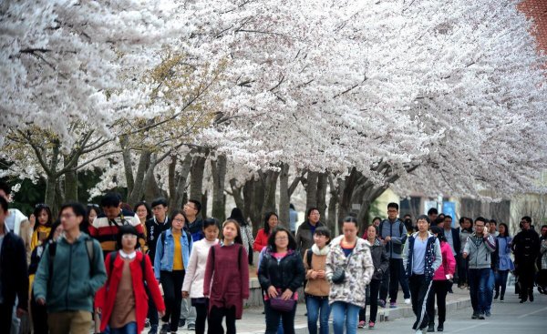 最差的985是哪个大学