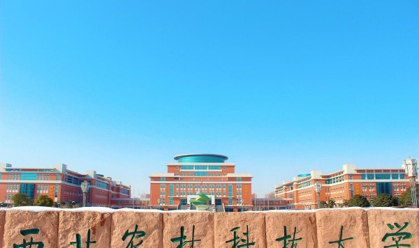 最差的985是哪个大学