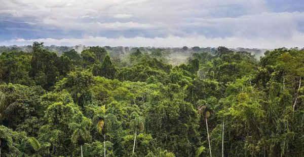 三峡大坝在什么地方