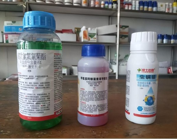 主持人李红个人资料揭秘