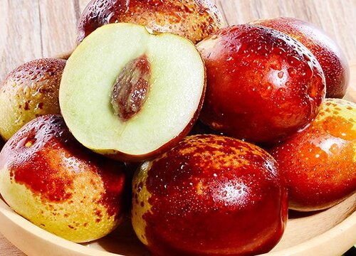 枣子是热性还是凉性