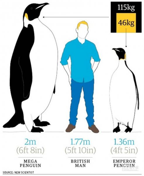 为什么北极没有企鹅