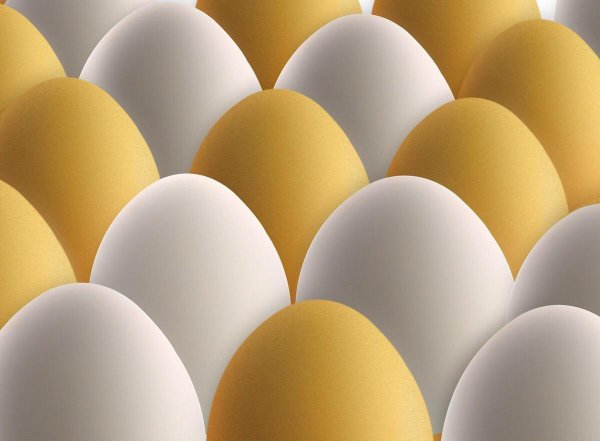 鸡蛋没有蛋黄是什么原因造成的