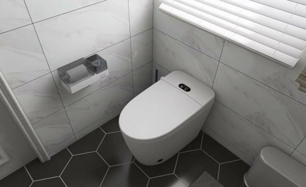 智能马桶最大缺点
