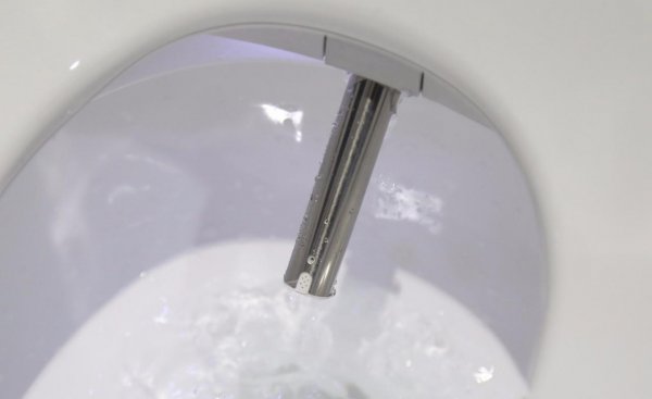 智能马桶最大缺点