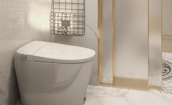智能马桶最大缺点