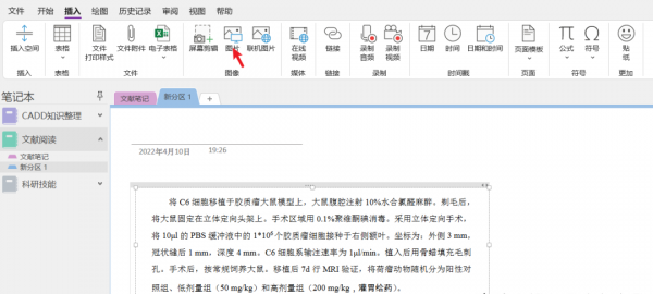 onenote是干什么的