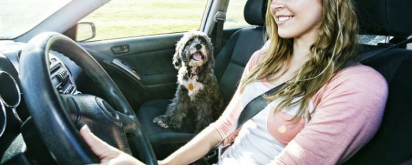 汽车脚垫什么材料