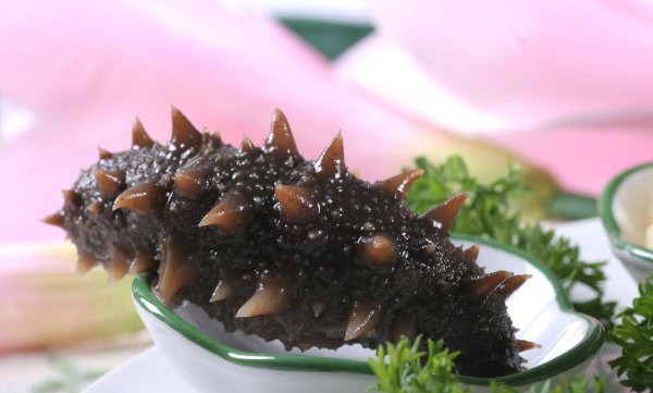 辽参和海参的区别在哪里