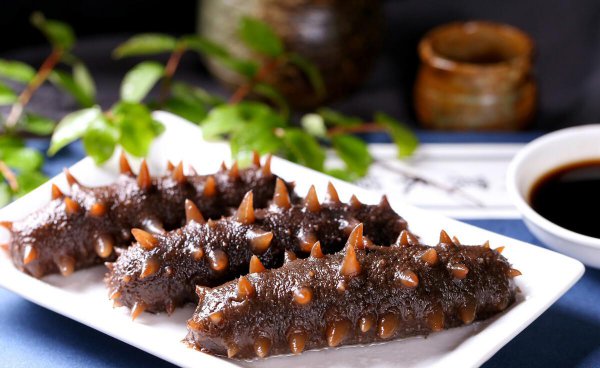 辽参和海参的区别在哪里