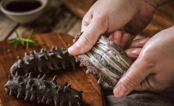 辽参和海参的区别在哪里