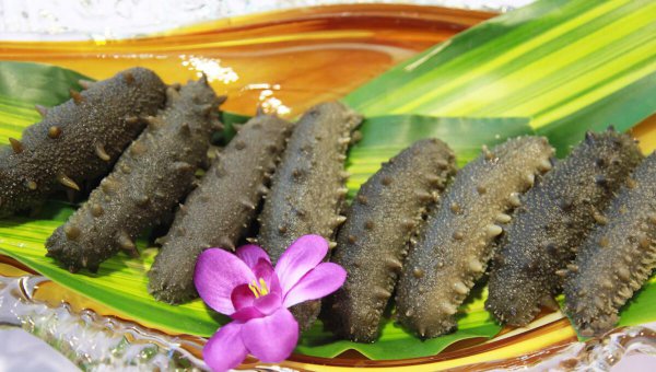 辽参和海参的区别在哪里