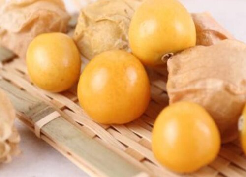 东北水果有哪些