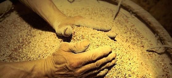 酒的历史起源简单介绍