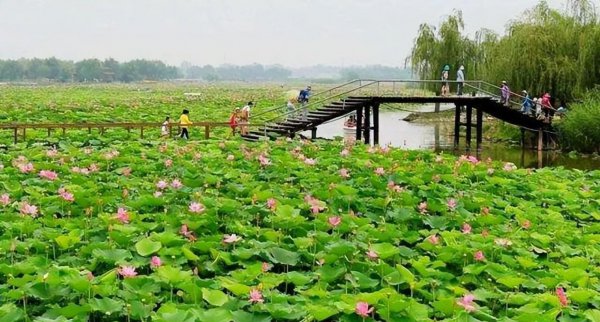 雄安新区是哪个省份哪个市