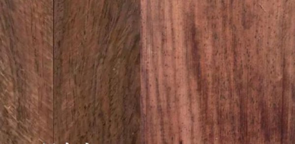 非洲黑檀为什么不值钱那么便宜