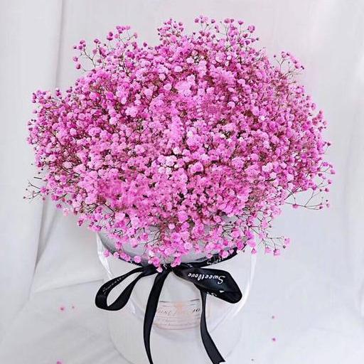 送给老师的鲜花什么最合适