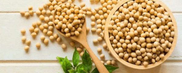 吃炒大豆的好处和坏处