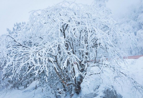 五台山现在天气穿什么