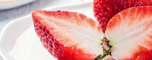 狗吃草莓的好处和坏处