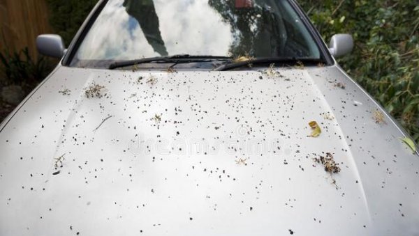 车子停露天好还是地下车车库好