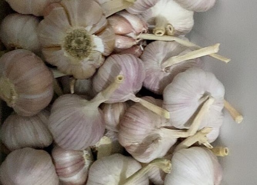 大蒜施肥用什么肥料适合