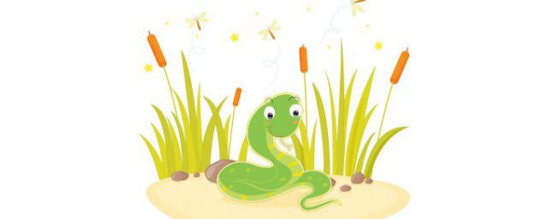 13年属什么生肖