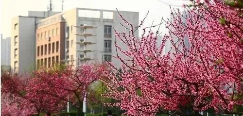 西安邮电大学什么档次