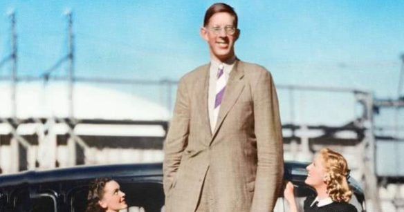 目前世界上最高的人身高是多少厘米