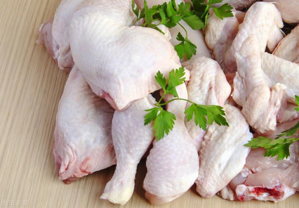 猫咪太瘦吃什么能快速胖起来