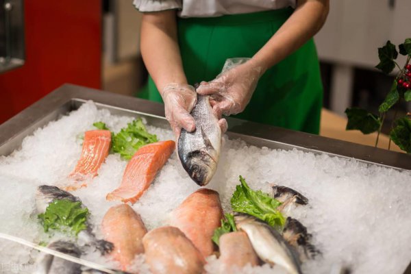 猫咪太瘦吃什么能快速胖起来