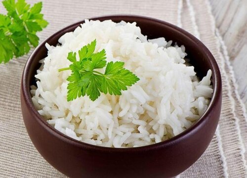 米饭可以做肥料吗