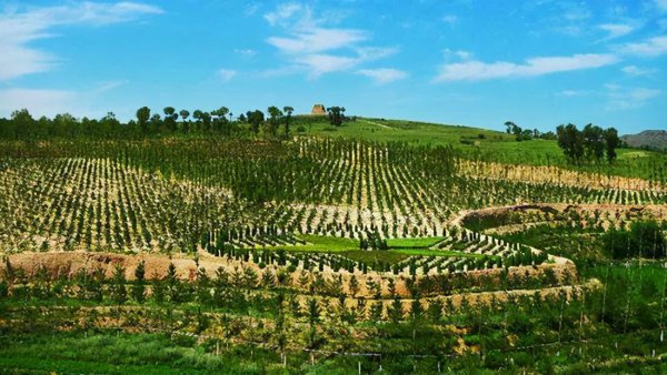 三北防护林是哪三北