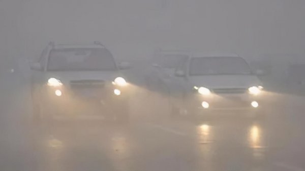 三北防护林是哪三北