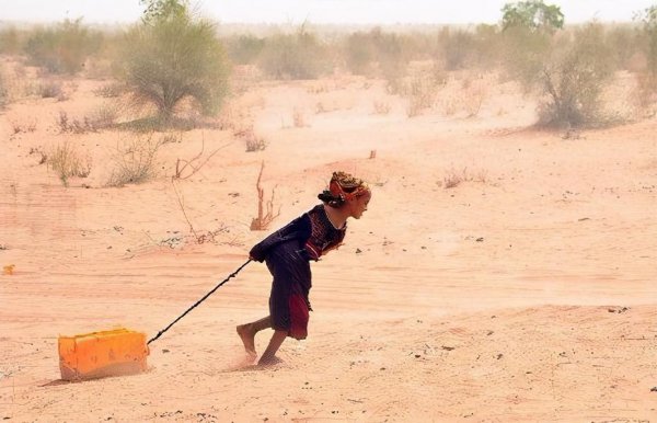 三北防护林是哪三北