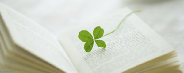 毕淑敏经典语录励志