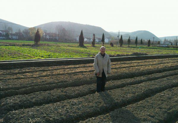 50岁可以申请五保户吗