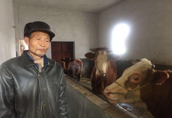 50岁可以申请五保户吗