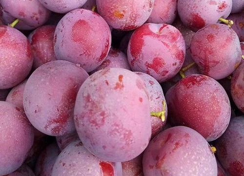 李子酸的怎么变甜