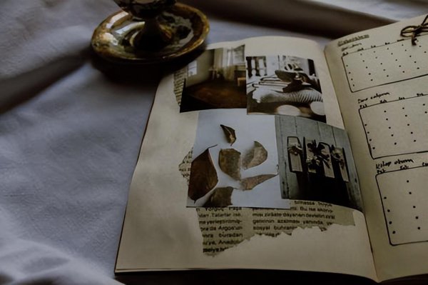 背叛了就是不爱了吗