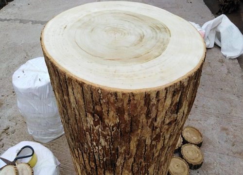 新鲜木头怎么防止开裂