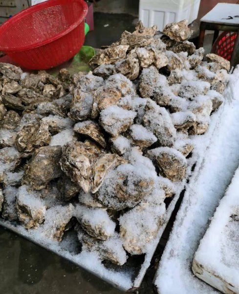 过节送礼品送什么合适