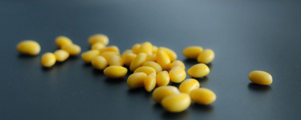 女性吃黄豆的好处