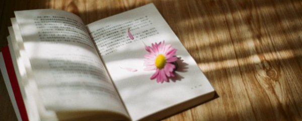 经典的人生哲理说说句子