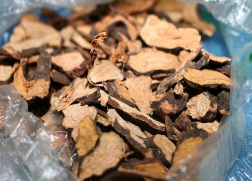 何首乌可以泡水喝吗