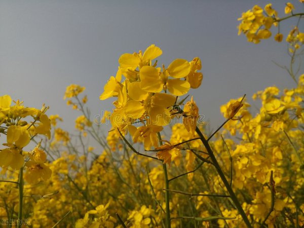 写给情人最感人的情书